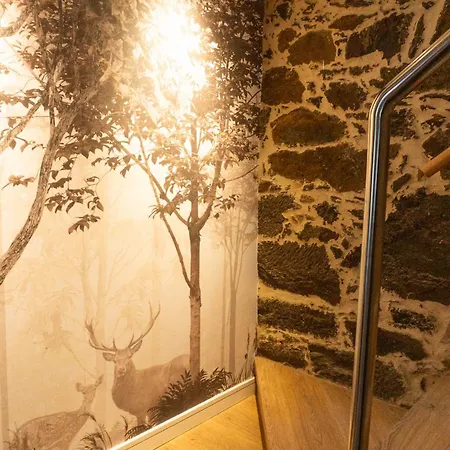 شقة Ribeira Sacra A Orilla Rio Mino Casas Do Pincelo