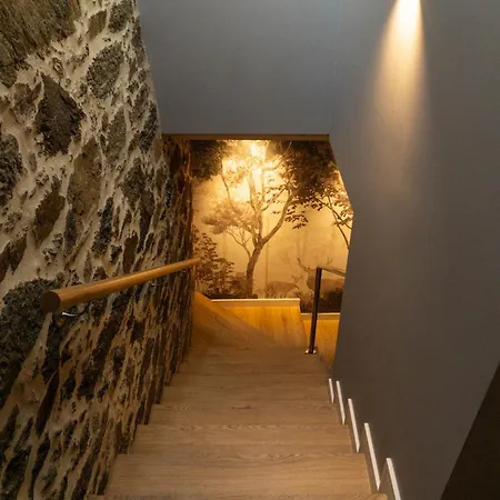 شقة Ribeira Sacra A Orilla Rio Mino Casas Do Pincelo